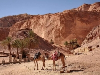 Monte sinai y monasterio de santa catalina desde sharm el sheikh